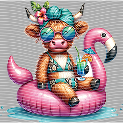 Cow-NIU 2427